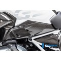 Ilmberger Carbon Airvent Cover Left Side for the BMW R 1250 GS 2019